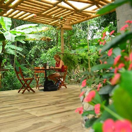 La Percha Hostal Palomino Dış mekan fotoğraf